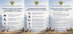 Буклеты